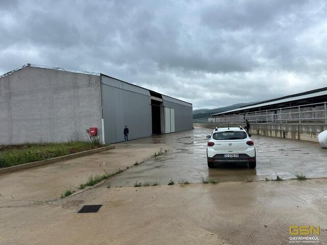 16-GSN GAYRİMENKUL'DEN AVRUPA STANDARTLARINDA RUHSATLI BESİÇİFTLİĞİ